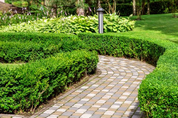 Cost of Paved Landscaping in Brentwood